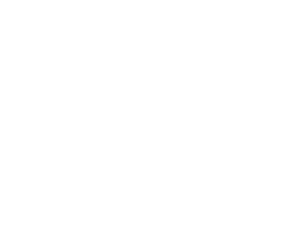 RapStory