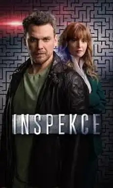 Inspekce